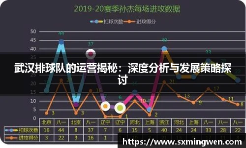武汉排球队的运营揭秘：深度分析与发展策略探讨