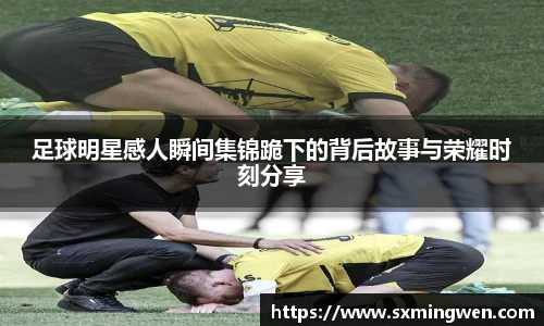 谈球吧体育官网入口